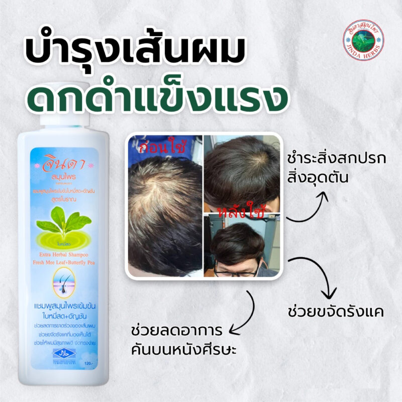 Jinda Herb จินดาสมุนไพร  แชมพูสูตรเข้มข้น ใบหมี่สด /โลชั่นสมุนไพร สูตรเข้มข้น - Image 2