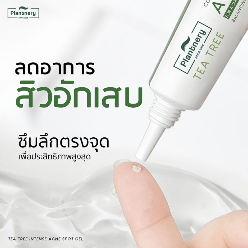 Plantnery แพลนท์เนอรี่ ที ทรี อินเทนซ์ แอคเน่ เจล 15 กรัม - Image 3