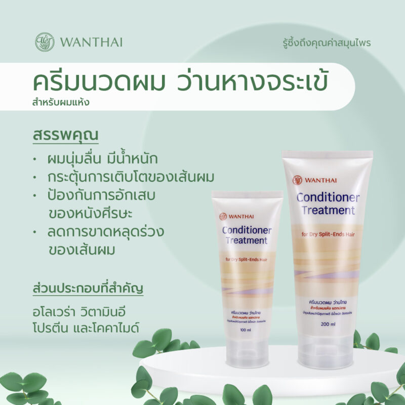 Wanthai ว่านไทย ครีมนวดผม 100 มล./200 มล. ว่านหางจระเข้ บำรุง คืนความชุ่มชื้นให้เส้นผม ลดการหลุดร่วง ผมนุ่มลื่น มีน้ำหนัก - Image 2