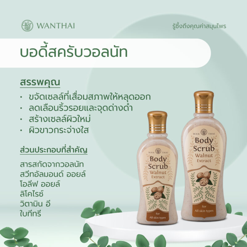 Wanthai ว่านไทย บอดี้สครับวอลนัท 300 มล. ขจัดเซลล์ที่เสื่อมสภาพ สร้างเซลล์ผิวใหม่ - Image 2
