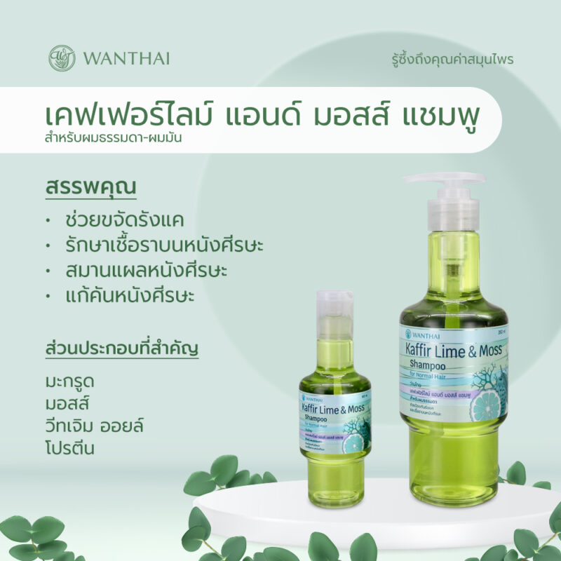 Wanthai  ว่านไทย เคฟเฟอร์ไลม์ & มอสส์ แชมพู  มะกรูด ลดอาการคัน ขจัดรังแค รักษาเชื้อราบนหนังศีรษะ - Image 2