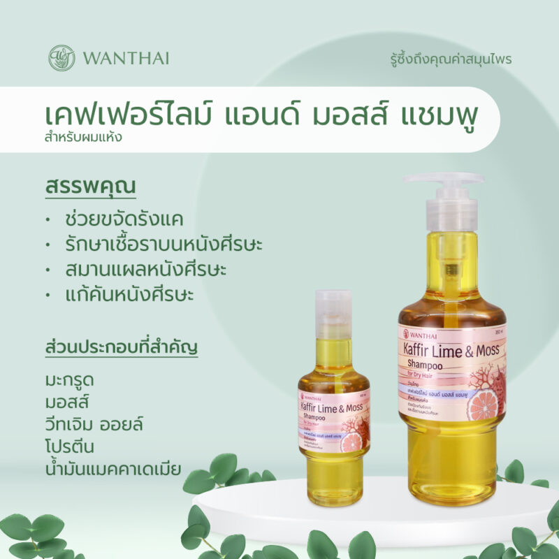 Wanthai  ว่านไทย เคฟเฟอร์ไลม์ & มอสส์ แชมพู  มะกรูด ลดอาการคัน ขจัดรังแค รักษาเชื้อราบนหนังศีรษะ - Image 3