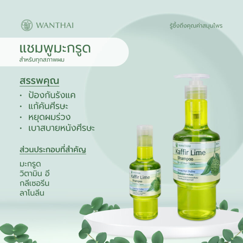 Wanthai ว่านไทย แชมพูมะกรูด ลดผมร่วง ป้องกันรังแค - Image 2