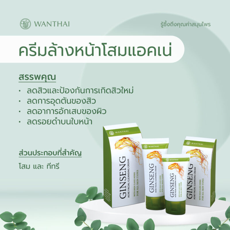 Wanthai ว่านไทย ครีมล้างหน้าโสม 40 มล. ทำความสะอาดผิว ลดเรือนริ้วรอย ผลัดเซลล์ผิวที่เสื่อมสภาพ - Image 2