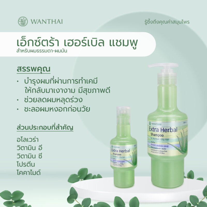 Wanthai  ว่านไทย เอ็กซ์ตร้าเฮอร์เบิล แชมพู ว่านหางจระเข้ หยุดผมร่วง ชะลอผมหงอก คืนสภาพผมเงางาม สุขภาพดี - Image 2