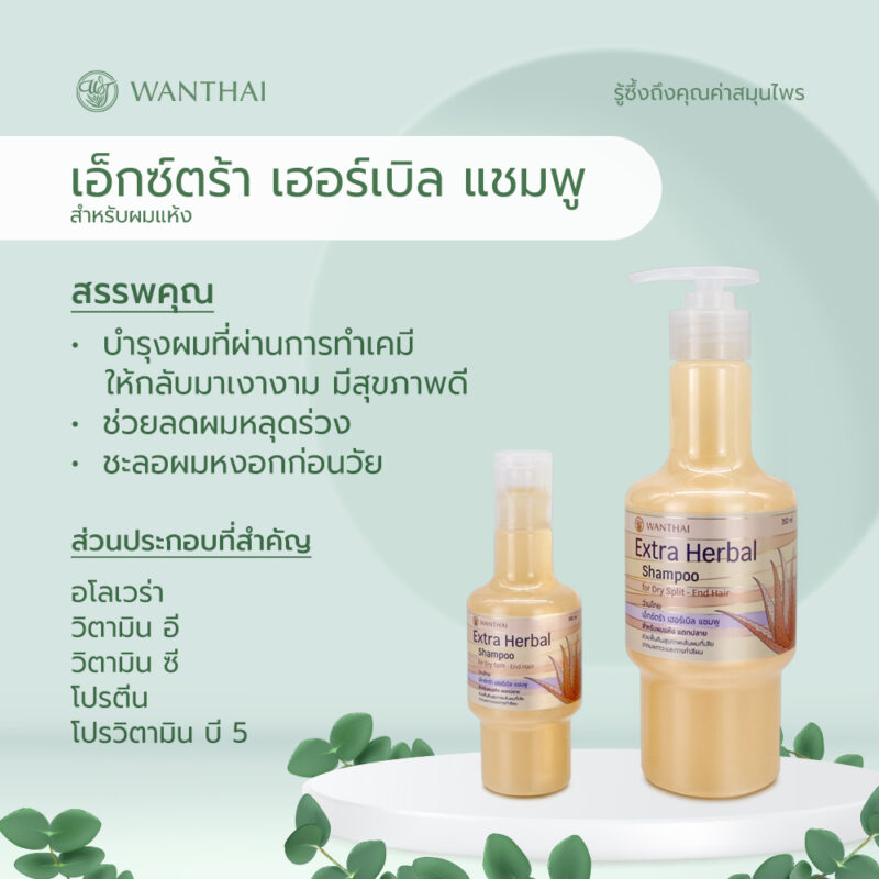 Wanthai  ว่านไทย เอ็กซ์ตร้าเฮอร์เบิล แชมพู ว่านหางจระเข้ หยุดผมร่วง ชะลอผมหงอก คืนสภาพผมเงางาม สุขภาพดี - Image 3